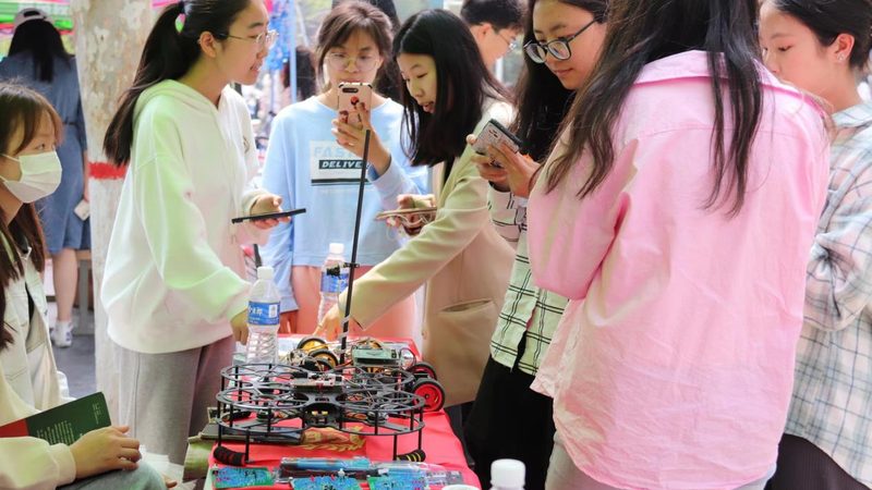 数据服务公司选择：如何规避潜在风险，确保高效稳定**